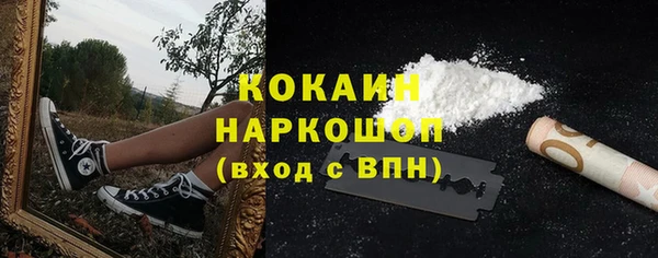 ГАЛЛЮЦИНОГЕННЫЕ ГРИБЫ Белокуриха